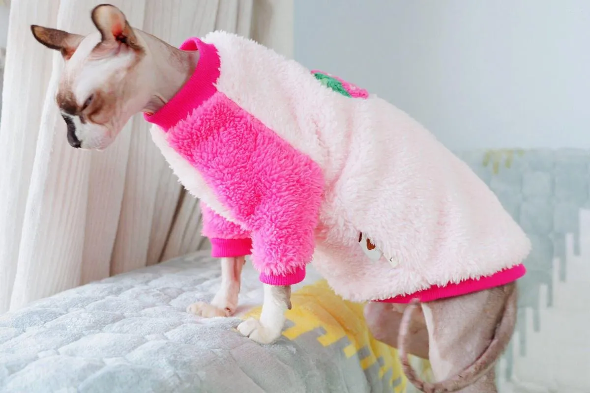 Costumi per gatti Sphynx Vestiti Doppio scamosciato Tenera fragola ispessita Camicia calda invernale Cucciolo di animale domestico