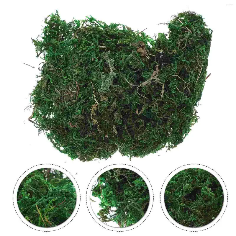Decorative Flowers Plants Artificial Fakefaux Green Lichen Indoor Potted House Natural Simulationdried Decorcrafts Filler Craftgarden Sheet