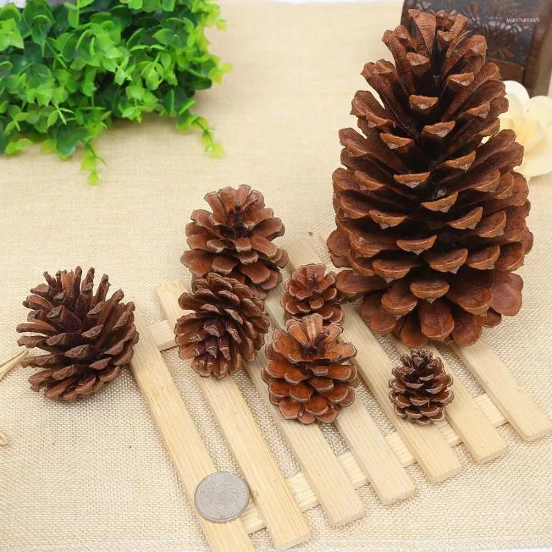 Flores decorativas Mini pinhões de pinhões naturais Cones falsos naturais Diy Christmas Tree Cone Decoration for Festival 1.5cm-3cm