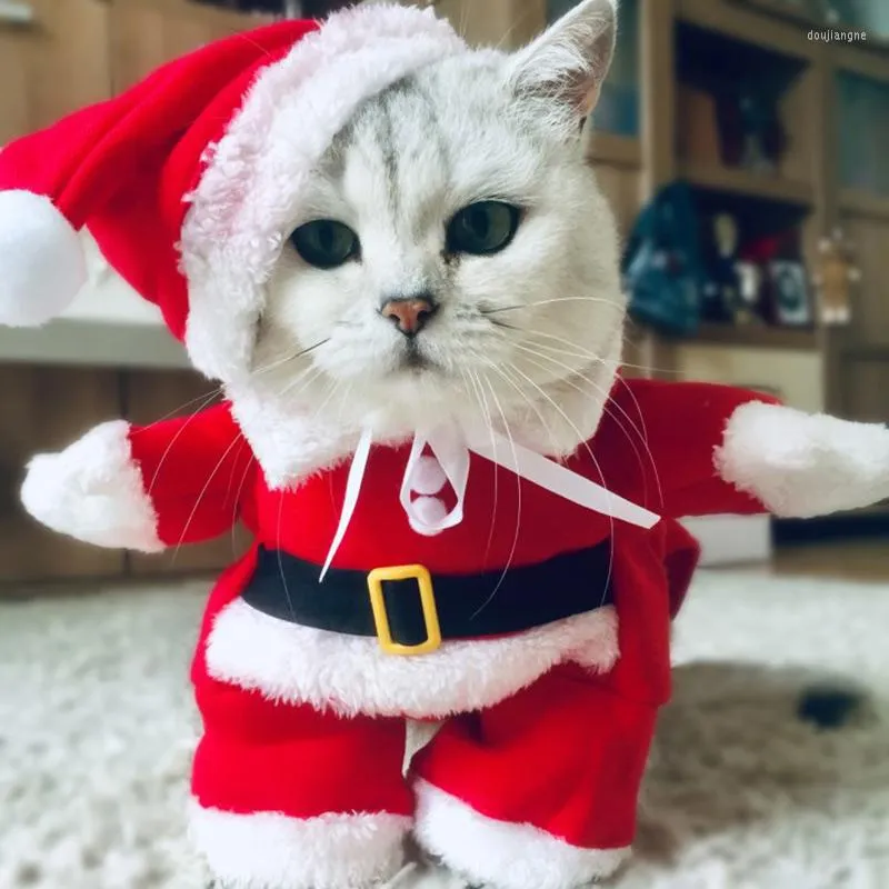 Kattdräkter vinter jul husdjur roliga jultomten kläder för små katter hundar xmas år kläder kattunge kattunge kläder