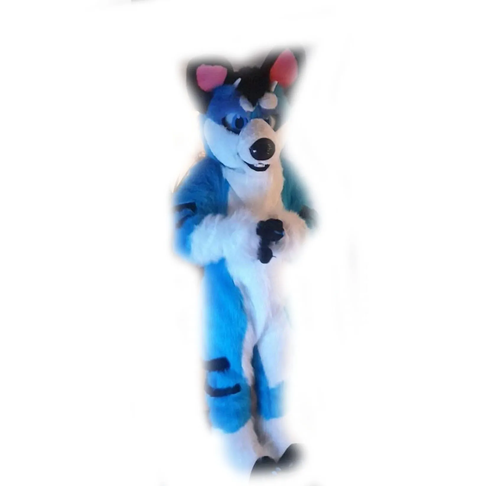 Bleu longue fourrure bleu Husky chien renard loup Fursuit mascotte Costume Costume jeu de fête déguisement adultes