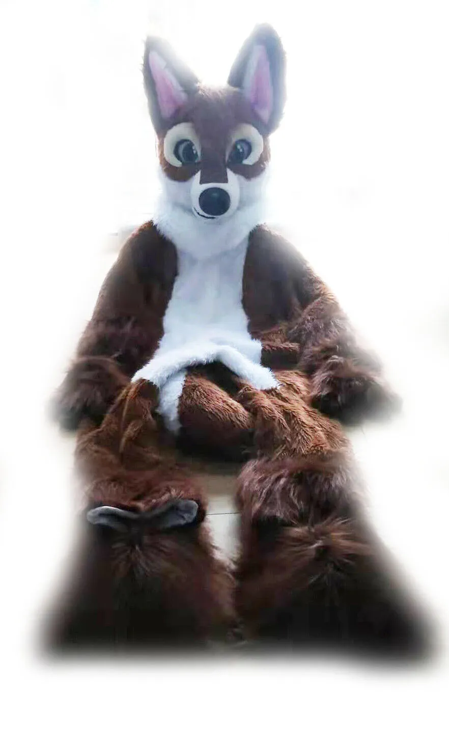 Костюм талисмана из коричневой хаски Длинный меховой фаршированные животные животные Хэллоуин костюм