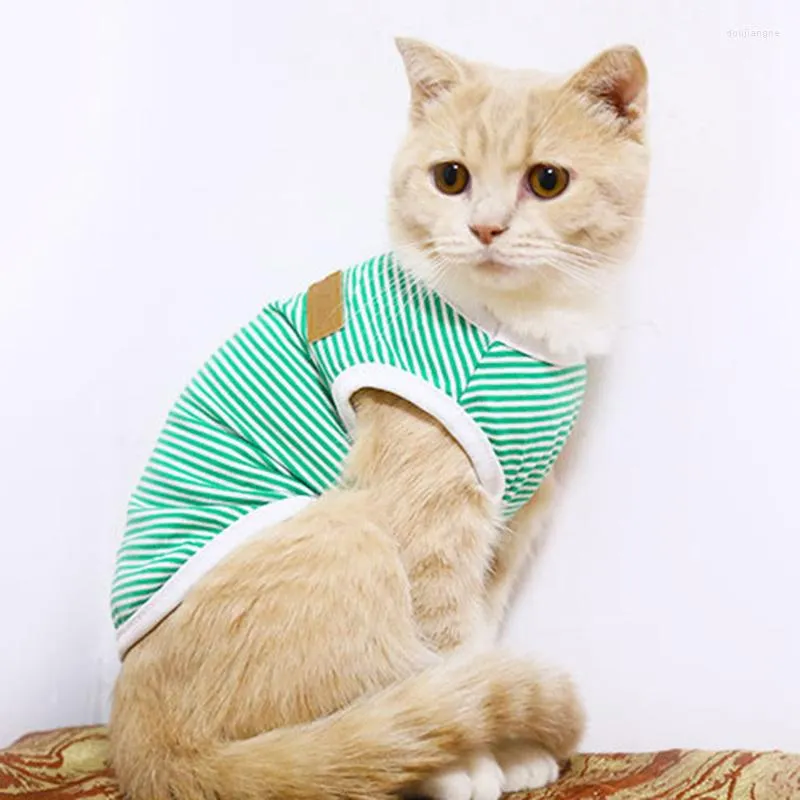 Costumes de chat mignon rayure gilet chemise classique vêtements pour animaux de compagnie pour chats Ropa Para Gato Katten Kleding Kedi Giyim vêtements animaux tenue