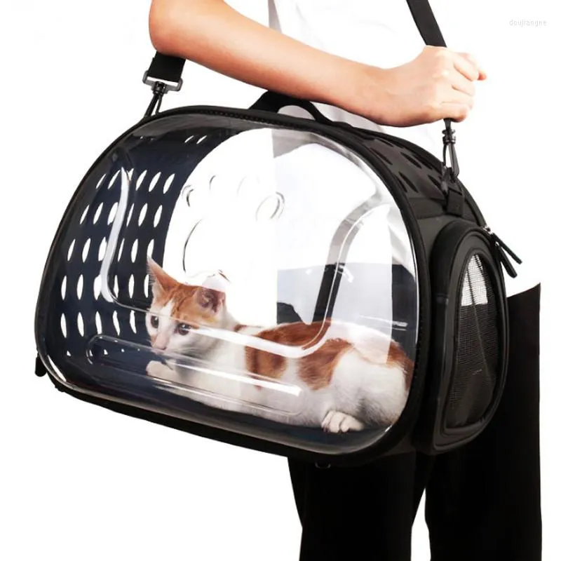 Porte-chats S/L transporteur pliant Transparent sac de voyage en plein air pour petits chiens chiot clair boîte de transport Visible