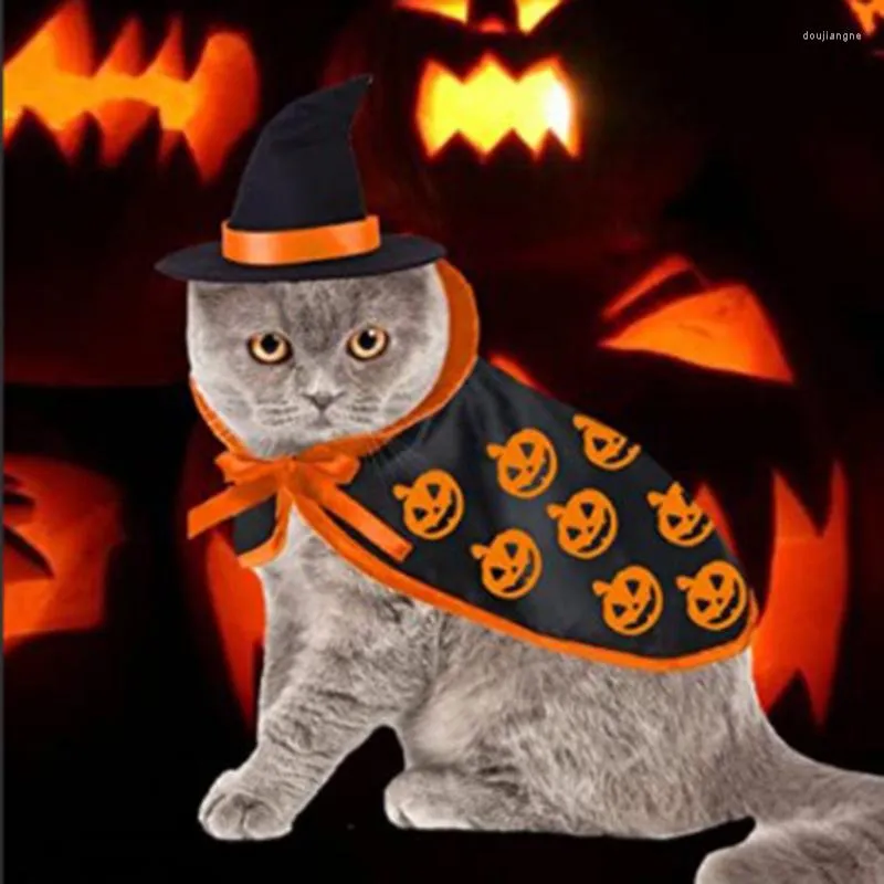 Costumes pour chats, vêtements pour animaux de compagnie, Costume de Cosplay, Cape d'halloween, ensemble de chapeaux pour chiens, accessoires Po, produits pour animaux de compagnie