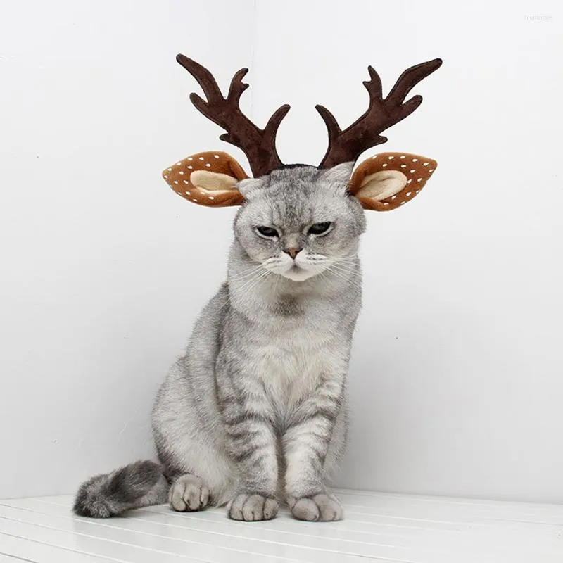 Cat Comple 2022 Christmas Pet Dog Antler el il ear judge butsy cute lext up up year party hat costume