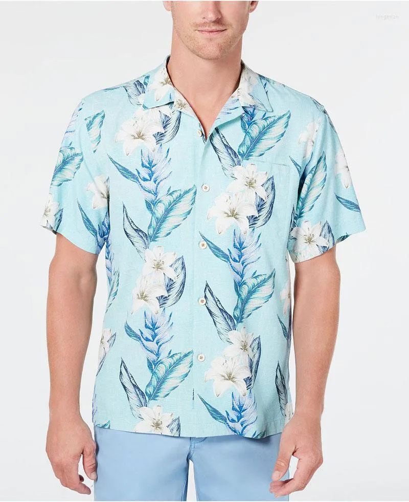 Xxxl shirts best sale online