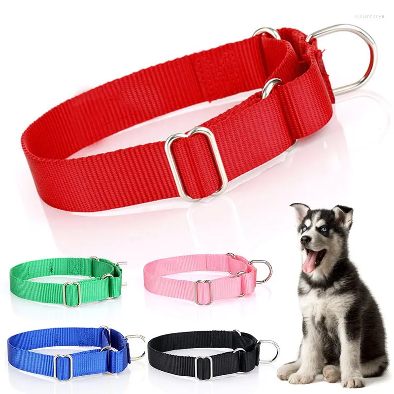 Collari per cani Collare per animali domestici regolabile in nylon per cani di piccola taglia Durevole Cucciolo Big Pitbull Pug Prodotti Animali domestici Honden Halsband