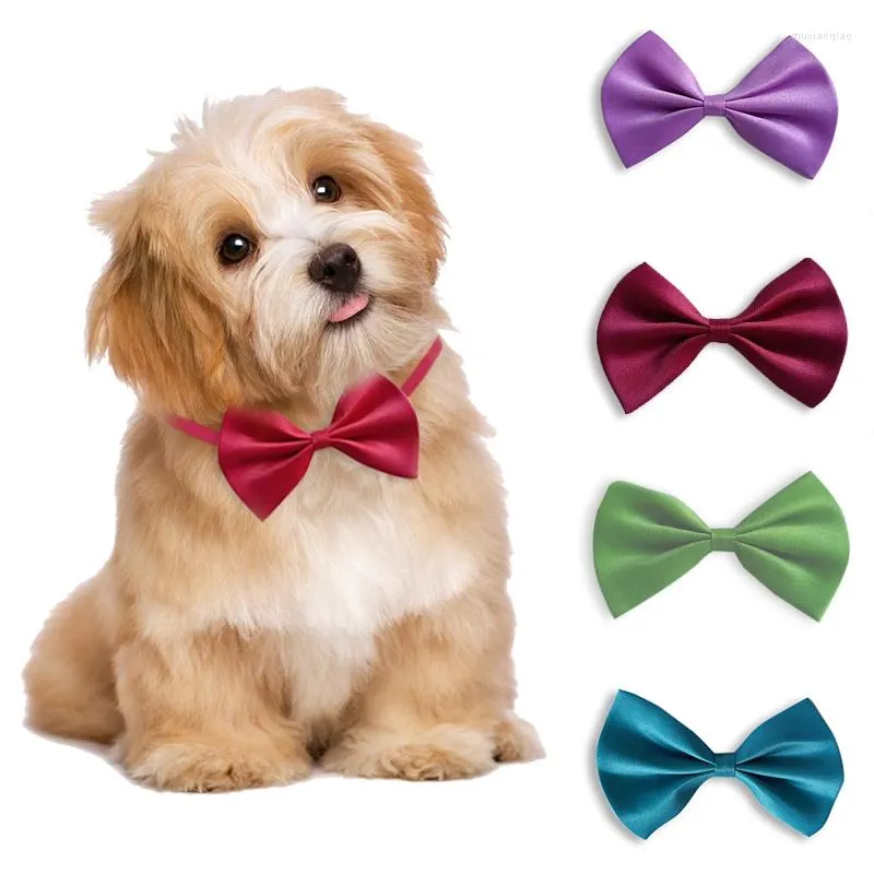 Hundkl￤der Pet Bow Ties Gentleman Cat Collar Justerbar halsbandhalsband Kattunge Puppy Grooming Accessories For Supplies