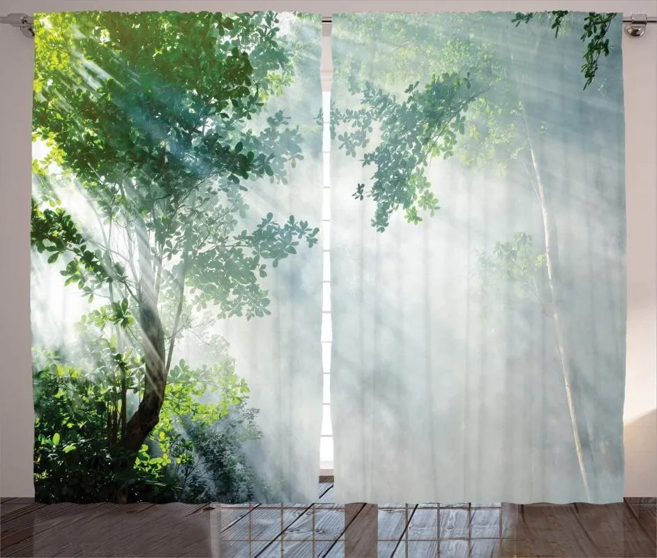 Perde Yağmur Ormanı Perdeler Ağaçların Gölgeleri Arasında Güneş ışınları Beyaz Sahne Yalnızlık Oturma Odası Yatak Odası Pencere Drapes