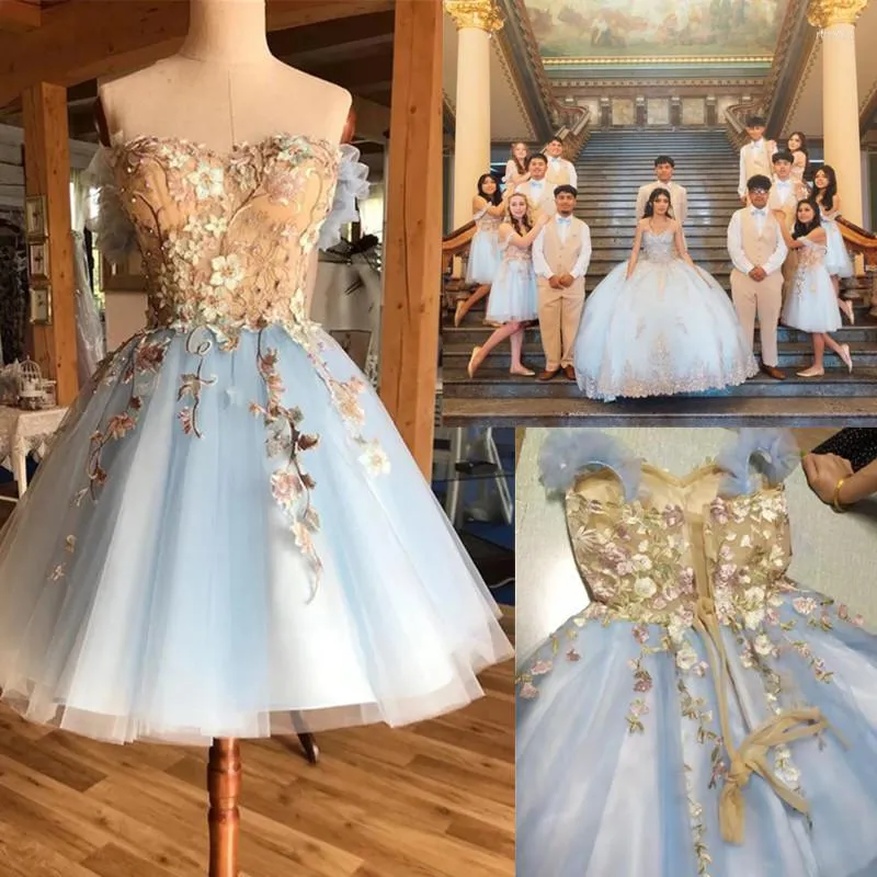 Vestidos de festa fofos Apliques de flor curta Apliques de baile de conto de fada de fada