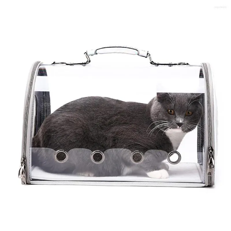 Hondenauto -stoel dekt transparante kattendragerzak ruimte ademende huisdier reizen buitenrugzak puppy draagtas met handtas
