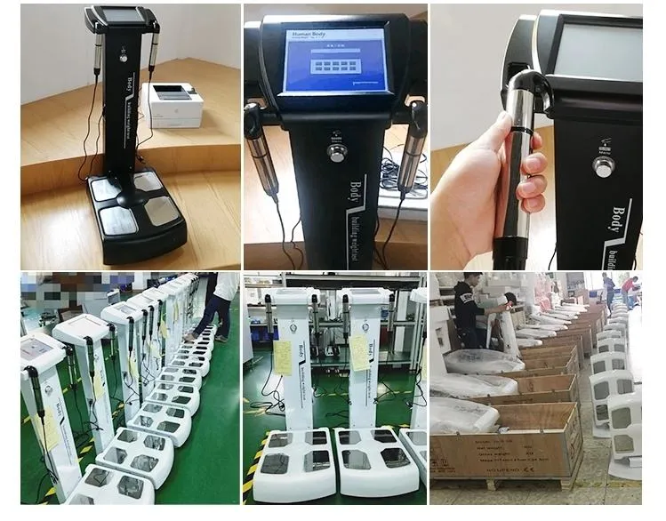 Professional Body Composition Analyzer - Accurate Body Fat Analysis ...