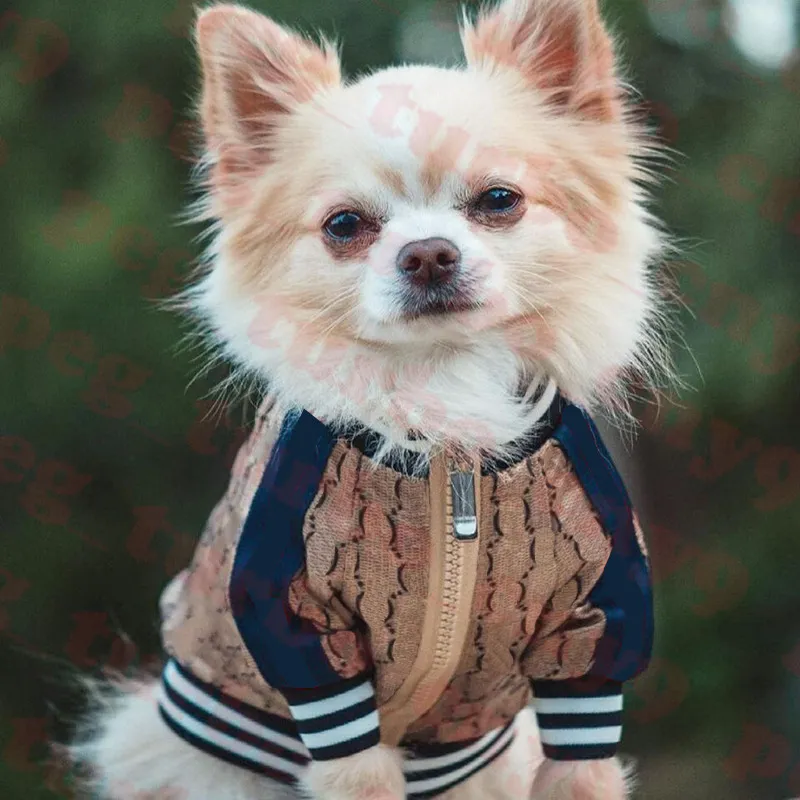 Klassische Streifen-Haustierjacke, Hundebekleidung, Buchstabe, Jacquard-Haustiermantel, modische Hunde-Reißverschlussjacken