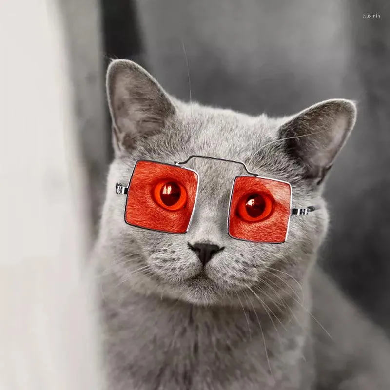Köpek giyim yaratıcı ve komik evcil hayvan aksesuarları kedi po prop kişilik gözlükleri köpek süslemeleri