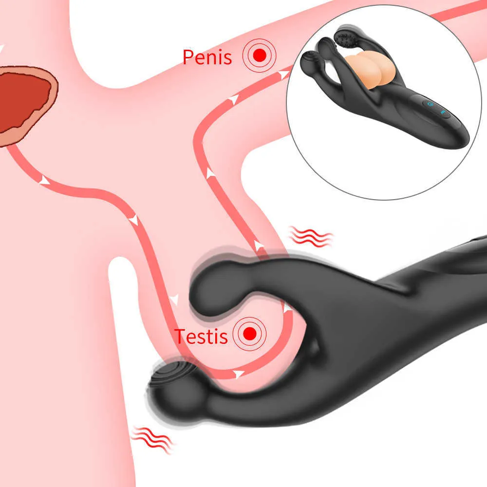 Male holy trainer cage amazon with Testicle Vibrator,... Male holy trainer cage amazon with Testicle Vibrator,...