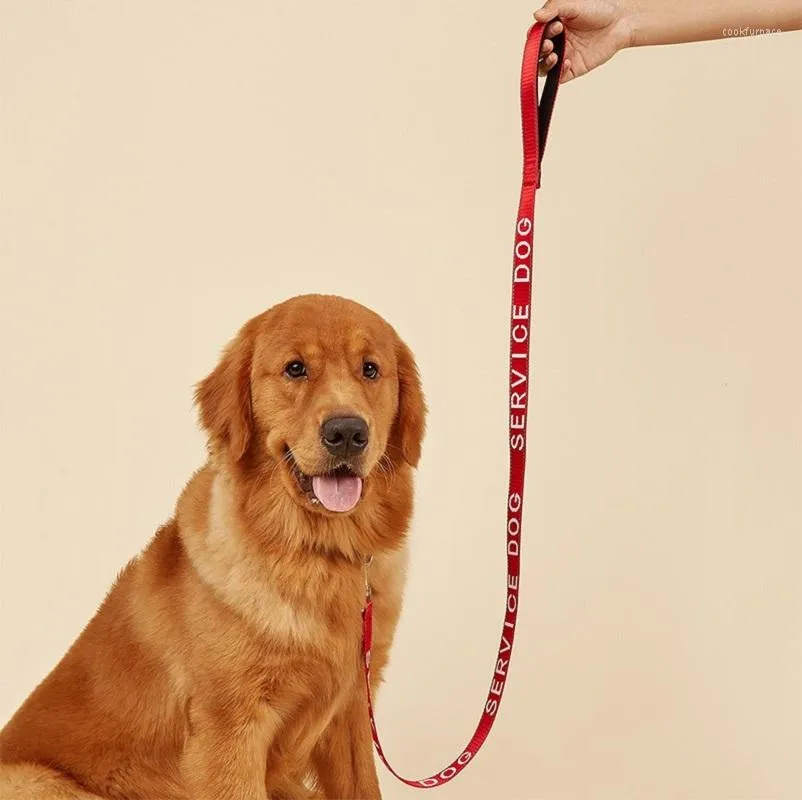 Colliers pour Chiens Service Laisse Animal Laisse Avec Poignée Néoprène Broderie Lettre Réfléchissant 4ft Pour