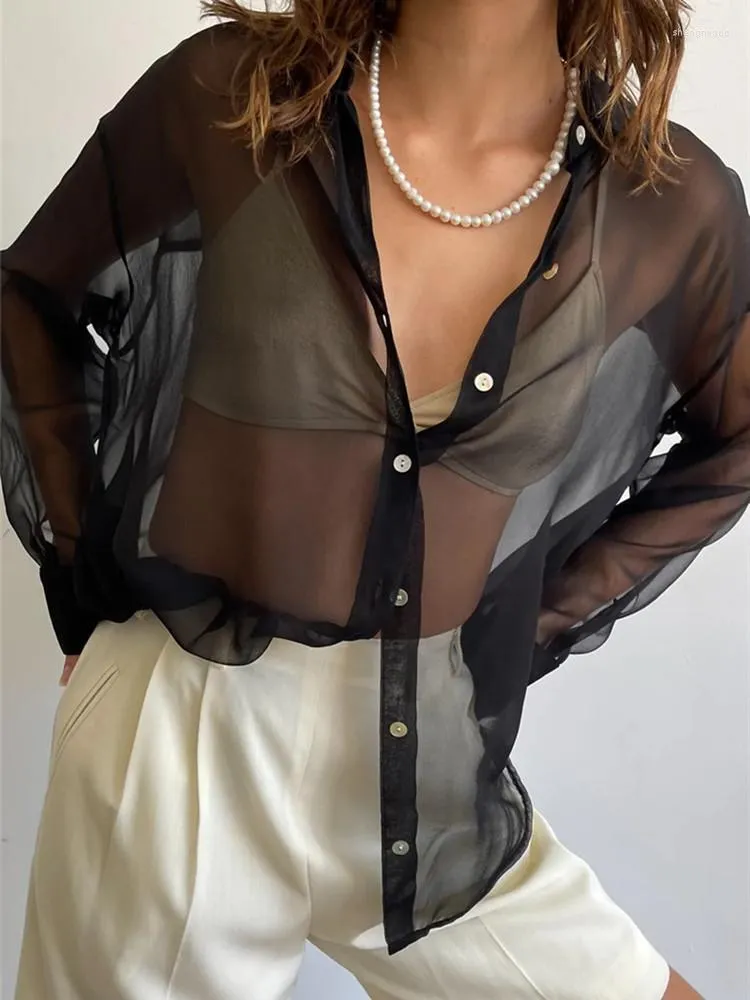 Blusas de mujer Camisa transparente con botones Y2K de manga larga con solapa y cuello en V Top de malla Vintage transparente Blusa básica Streetwear