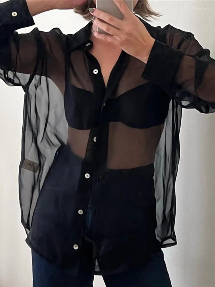 Sheer Mesh Button-Up Blouse: Y2K Vintage Style, Long Sleeve