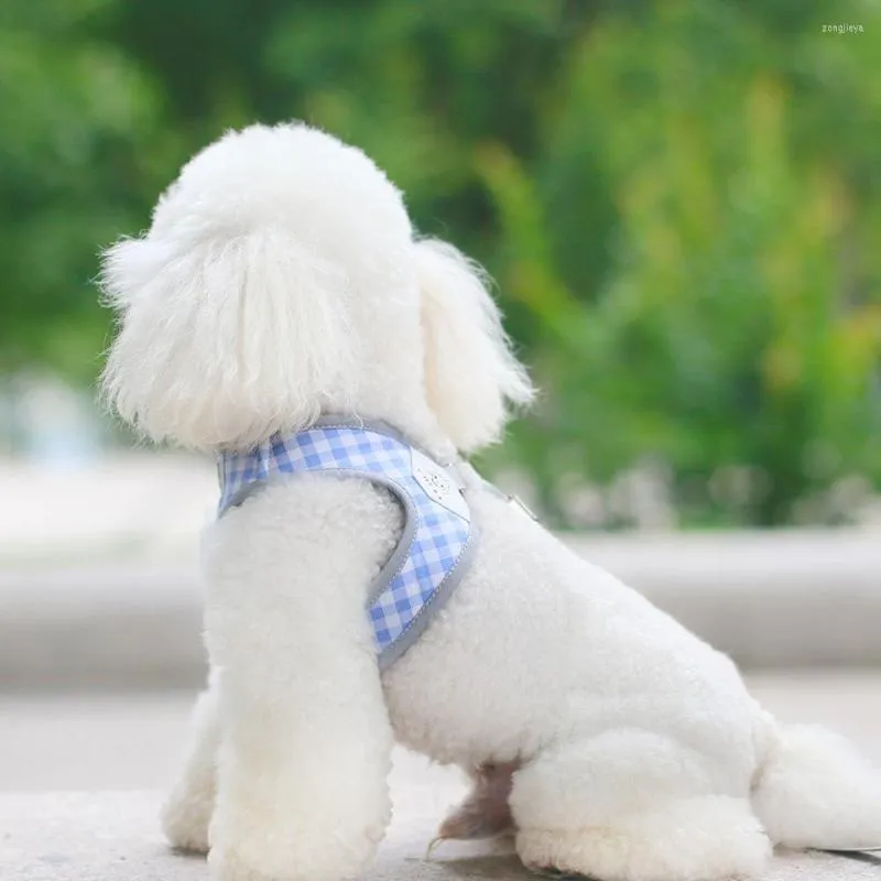 Hundehalsbänder Haustier Brustgeschirr Weste-Stil Gitter Atmungsaktive Leine Kleiner Teddy Walking Seil und Halsband Set