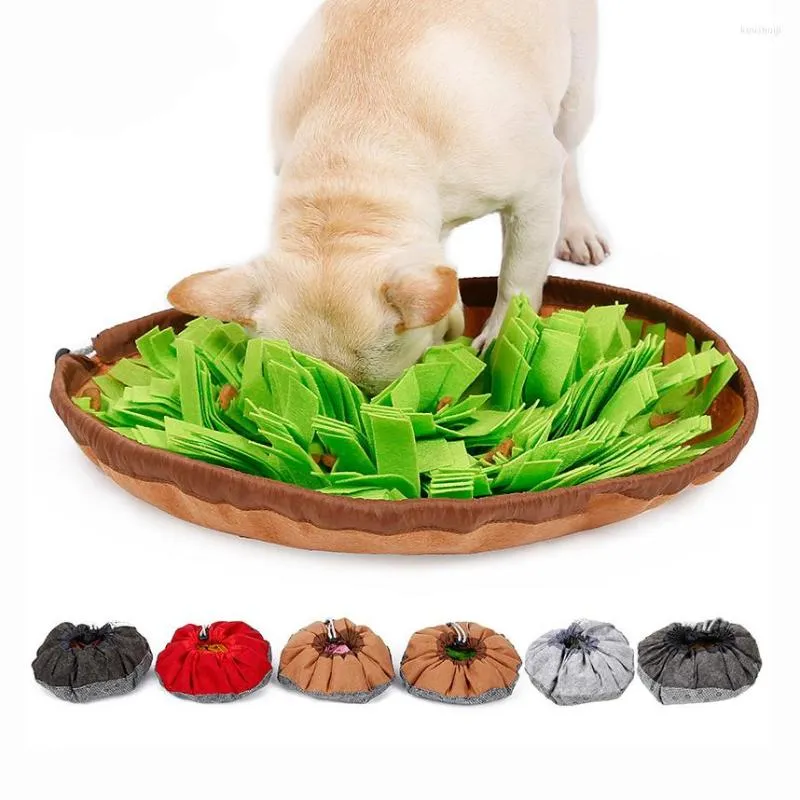 Diseño de ropa para perros Comida que oculta Alimentación lenta Pet Snuffle Training Mat Bowl para perros Sniff Lick Accesorios