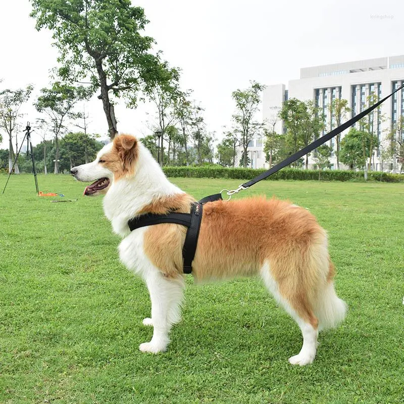 Colarinho de cachorro arnês de nylon meas sem puxar colete de estimação respirável para pequenos cães de corrida externa médios grandes acessórios de treinamento