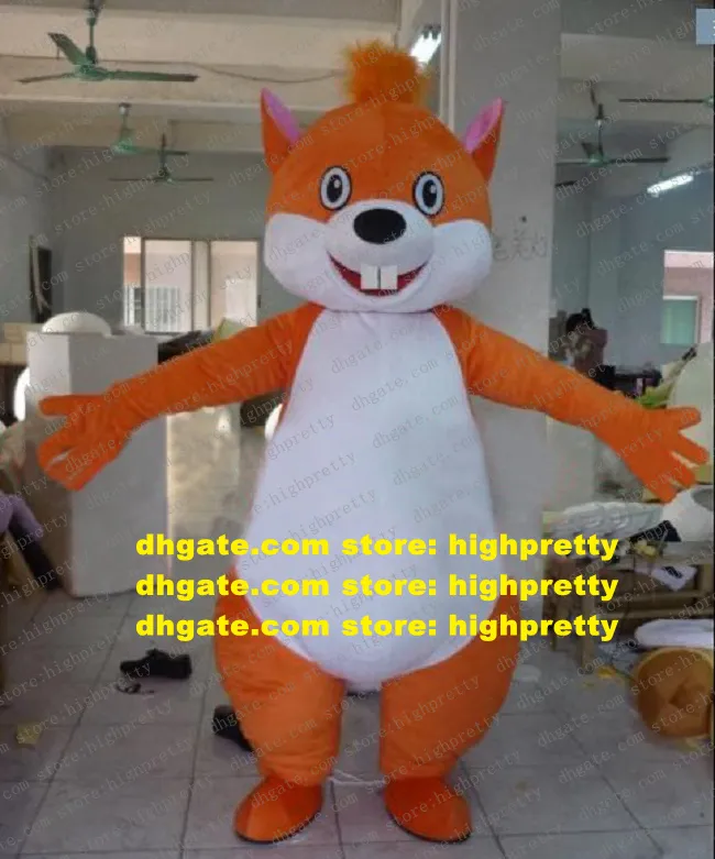 Ardent pomarańczowy wiewiórka wiewiórka wiewiórka Chippy Mascot Costume Cartoon Charakter dorosły biała twarz Fat Stoamch siekor ZZ840 FS