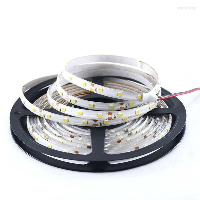 Şeritler 5m/10m LED şerit ışığı 60 LEDS/M SMD 2835 Sıcak Beyaz Kırmızı Yeşil Mavi RGB 12V Su geçirmez Esnek Bant Halat Bant