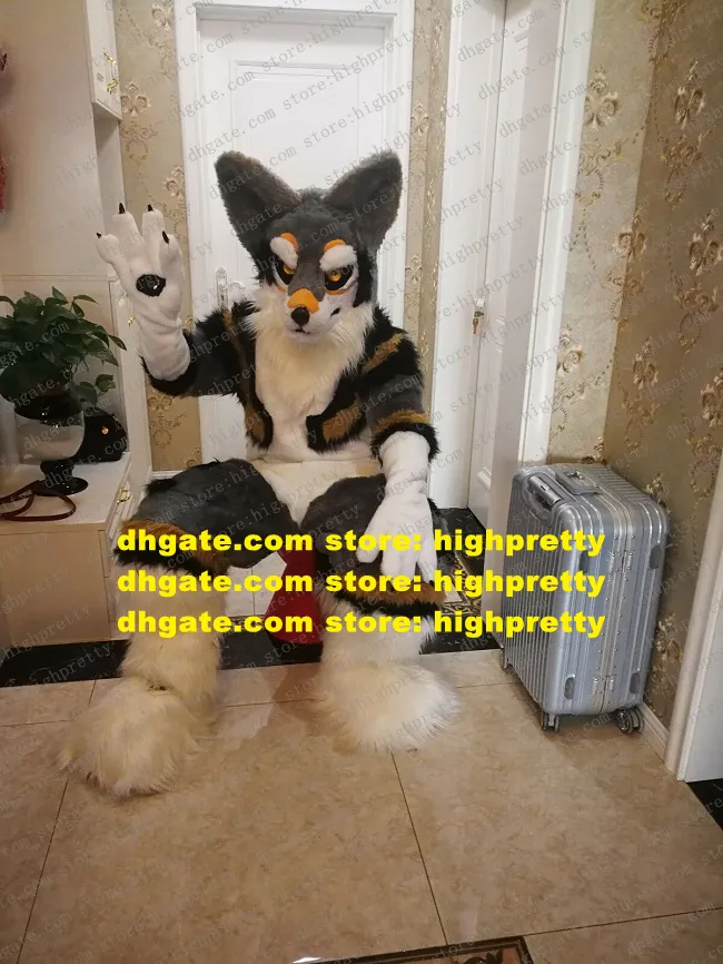 Szary długi futrzany futrzany husky pies kostium maskotki Fox Wolf Fursuit Fursuit dorosły charakter społeczność zajęcia malownicze miejsce ZZ7633