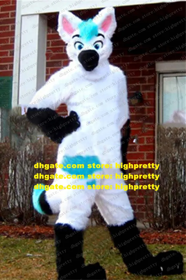 Vit lång päls päls husky hund maskot kostym räv varg varg fursuit vuxen tecknad reklamdrivning lockar popularitet zz7676