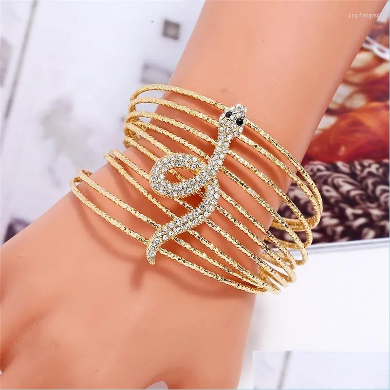 Bangle Bangle LZHLQ SNAKE MTILAYER WIRE Animal Maxi открывая смолу для женщин 2022 Модные бренды ювелирные аксессуары для доставки скобки DHQLX