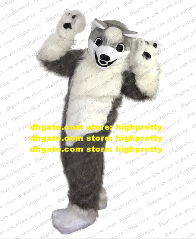 Graues langes Fell-Wolf-Maskottchen-Kostüm, Husky-Hund-Fursuit, Erwachsenen-Cartoon-Charakter-Outfit, Vorschulerziehung, Leichtathletik, Treffen Sie zz8091