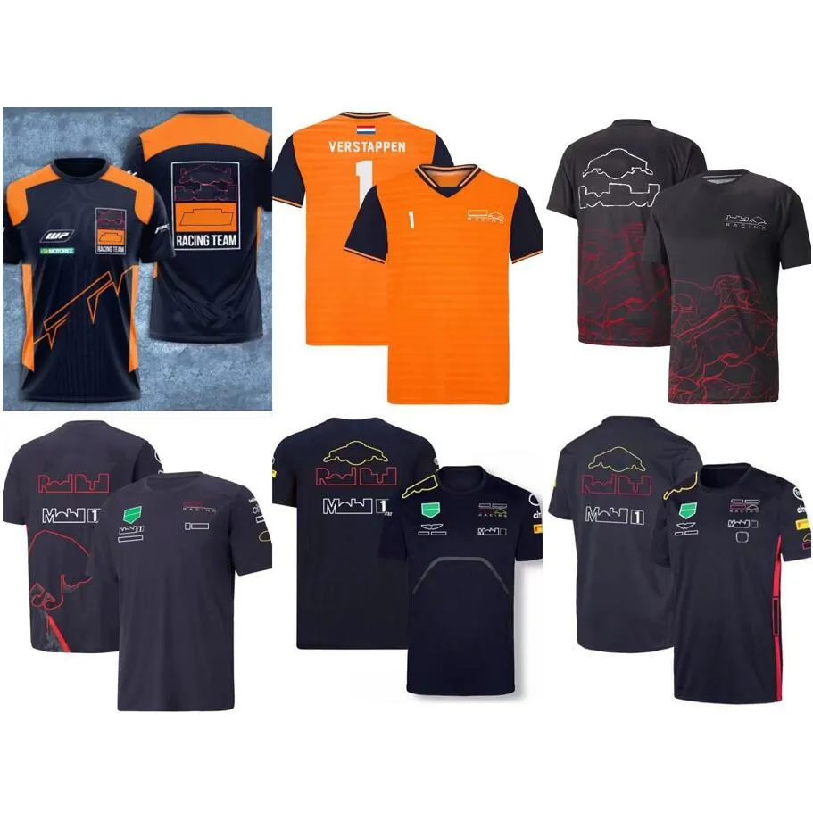 Homens camisetas Nova F1 Racing T-shirt Equipe de Verão Camisa de Manga Curta Personalizada E779