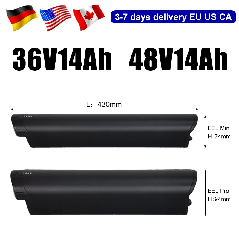 magnum electric bike battery