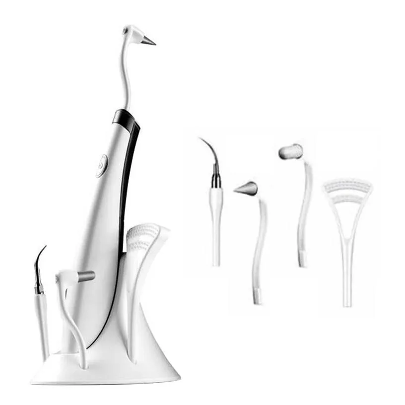 Electric Acoustic Wave Dental Scaler Tooth Calculus Remover Tooth