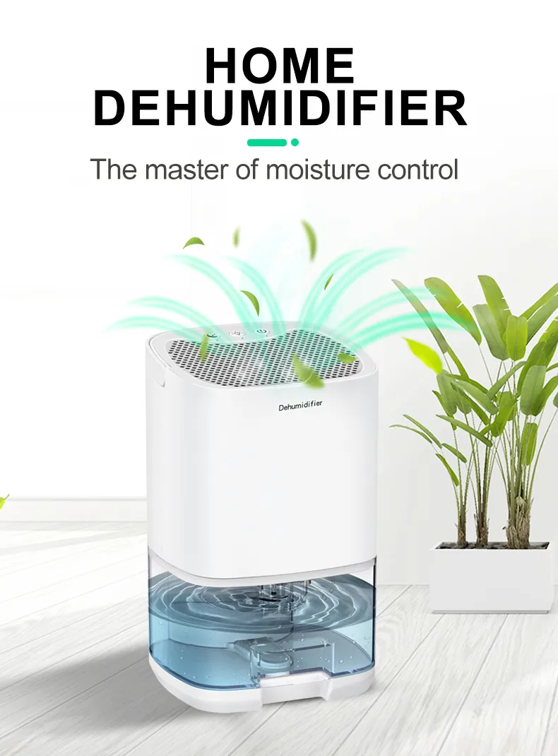 Déshumidificateur et purificateur d'air Portable Premium 2 en 1