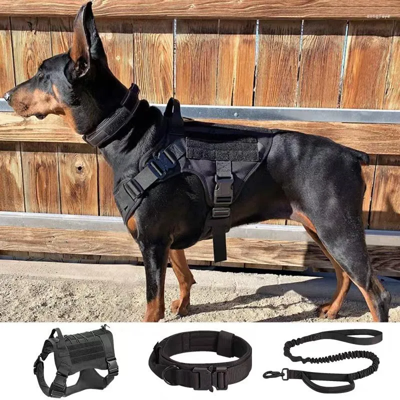 Collari per cani Imbracatura tattica Collare Guinzaglio Borsa Set Gilet da addestramento per animali domestici Nessuna toppa per accessori per cuccioli di taglia piccola e media