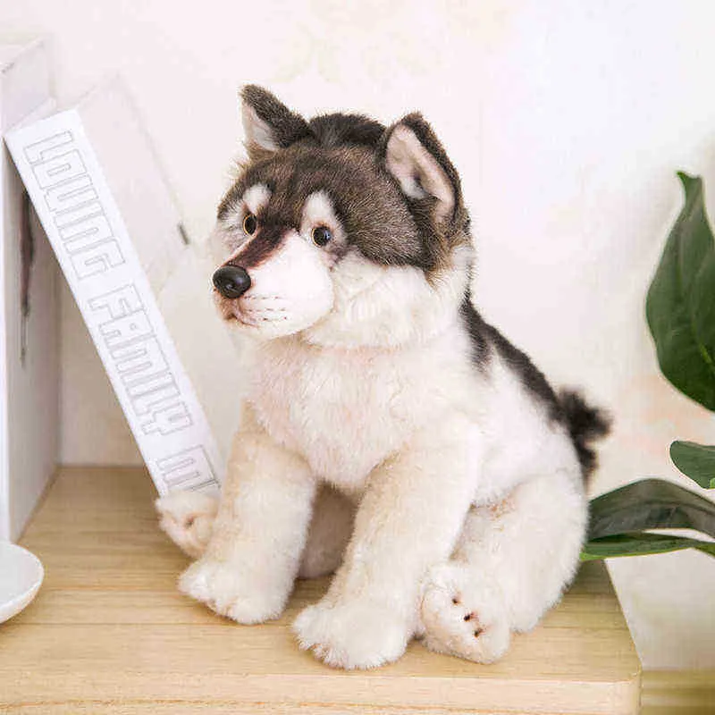 38 cm niedliche Simulation Wolf Plüschspielzeug Wolf Hund Kinder Puppen lebensechte Haustier weiche Anime Dekor Kollektion Spielzeug für LDREN Kids J220729