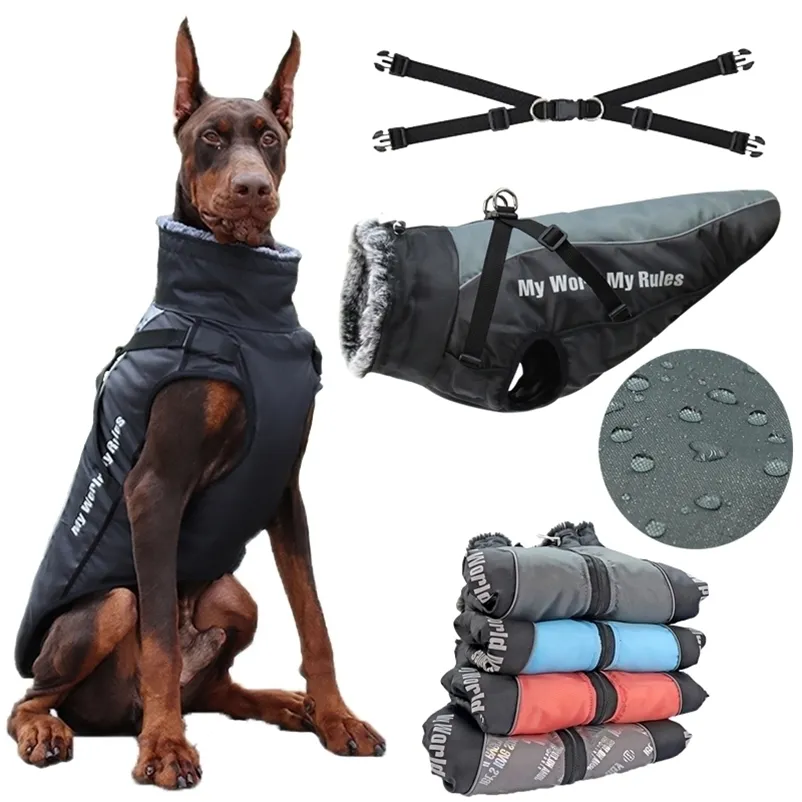 K9 dog shop apparel