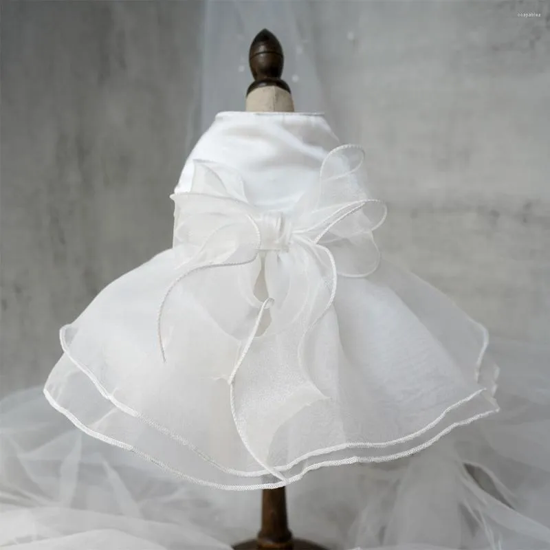 Abbigliamento per cani Abito da sposa bianco principessa Tulle Bowknot Teddy Bichon Vestiti per animali di piccola taglia