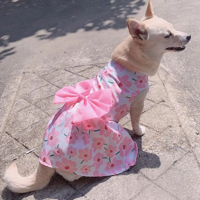 Hundebekleidung Sommer Haustier Kleidung Prinzessin Kleid Atmungsaktive Katze Party Mode Hosenträger Anzug Bogen Rock für kleine mittlere Accessoires