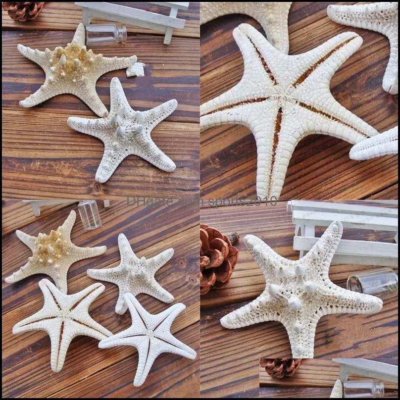 Nowatorskie przedmioty Starfish Ocean Sea Star Natural Tropical Wedding Party Home Wail Wiszący wystrój 2 6qm UU Drop Garden Dhrzy