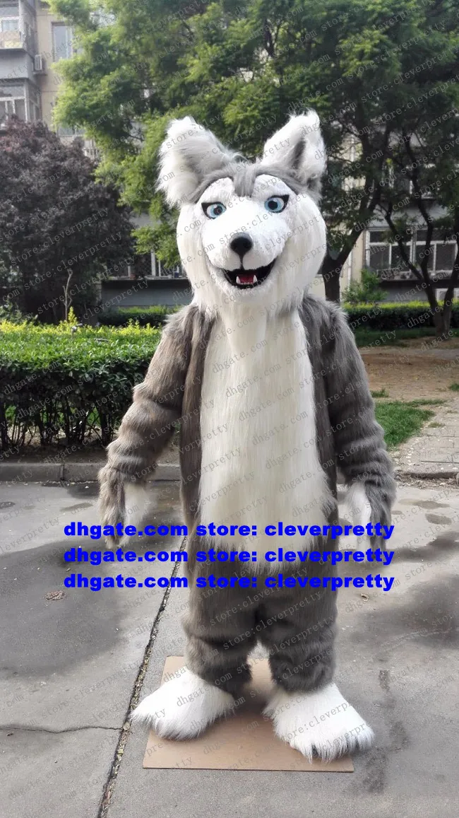 Costume de mascotte de loup gris en fourrure longue, Costume de chien Husky, tenue de dessin animé pour adulte, planification et Promotion de marche ambulatoire zx736