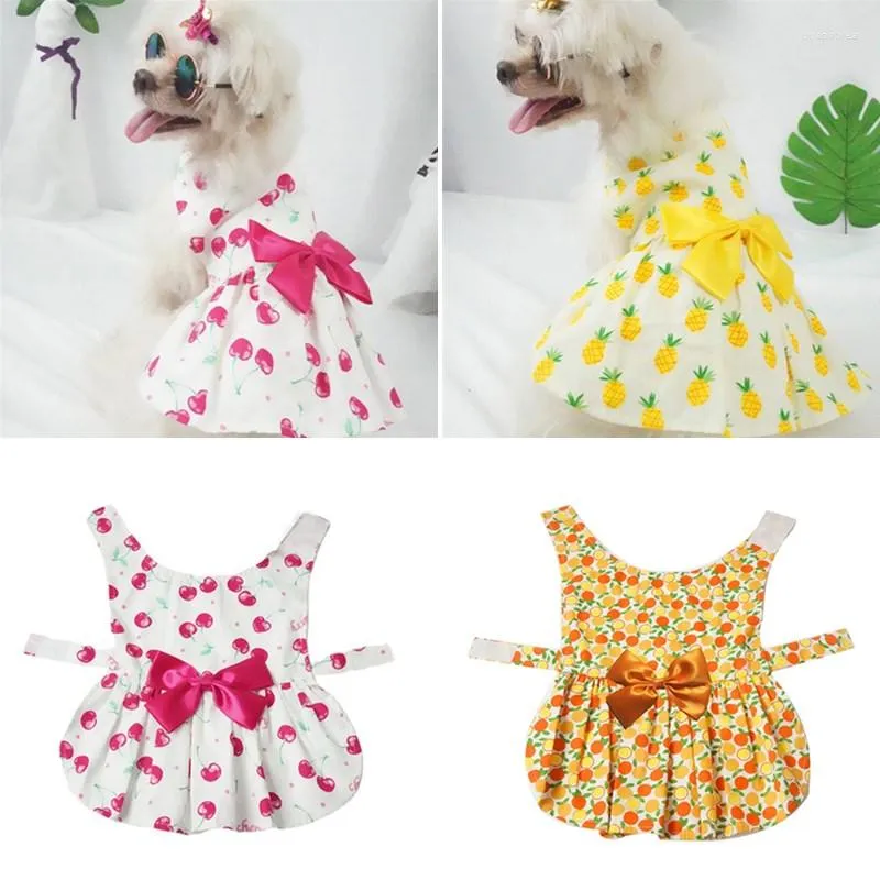 Vêtements de chien Été Mignon Princesse Robe Mode Ananas Cerise Fruits Pour Petits Chiens Moyens Jupes Douces Animaux Fournitures Accessoires