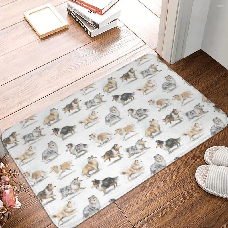 Tapis Rough Collies Paillasson Tapis Tapis Tapis Footpad Bain Antidérapant Entrée Cuisine Chambre Durable Lavable