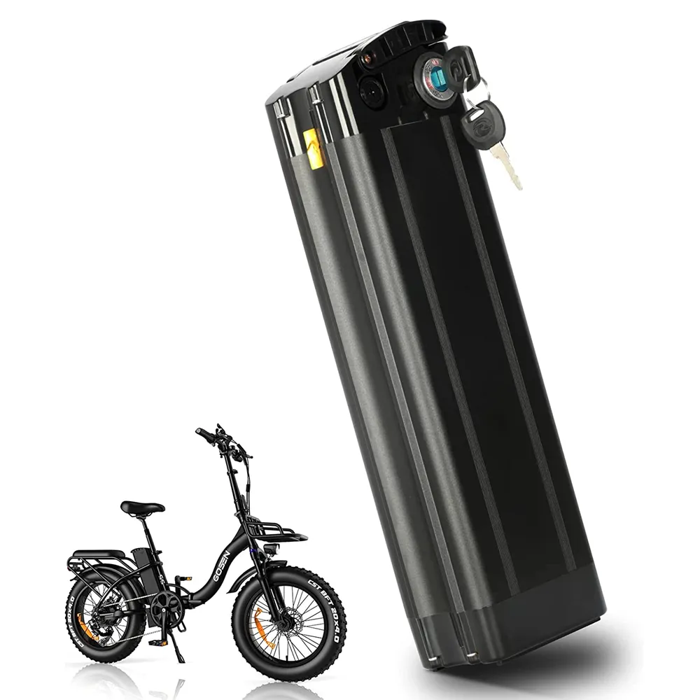 Green Cell® Batterie Vélo Electrique 24V 10.4Ah Silverfish E-Bike