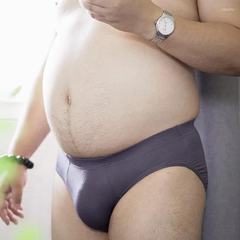 Underpants Men s Panties Sexy Lingerie Chubby Bear Fatty Plus Size Large Underwear U shaped Briefs Solid Color