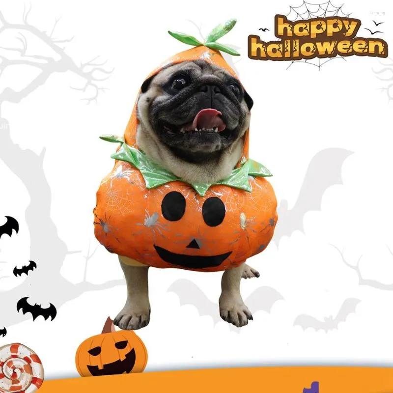 Cat Costumes Dog Pumpkin Clothes Halloween Carnival Funny Pet Winter Coat Outfit For Small Dogs Cats