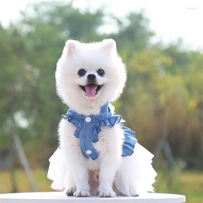 Pomeranian dog clearance clothes for sale