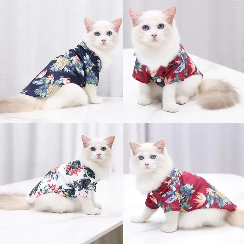 Katzenkostüme, Kleidung für Katzen, Hawaiihemd, Frühling, Sommer, Haustierkleidung, Anzug, Waren, Dinge, Sphinten, Sphinx-Jacken, Sphynx-Kätzchen-Chats